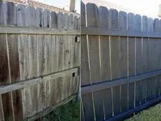 Fence painting & staining